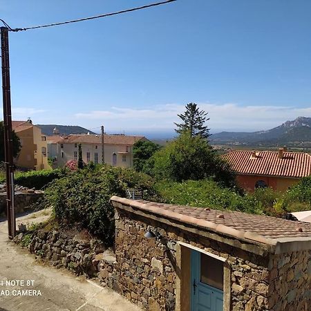 Duplex Avec Jardin, Proche Village Calenzana Kültér fotó